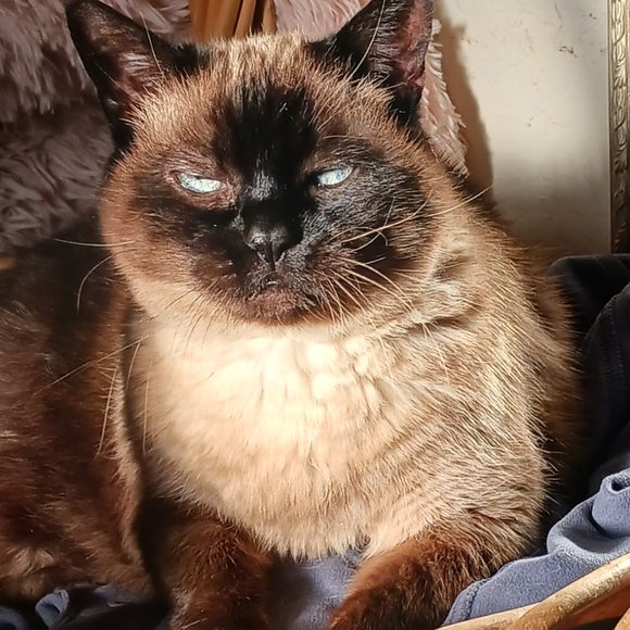 Meet your Posher, Barbara - Picture 1 of 1